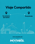 Traslado Compartido San Antonio → Barquisimeto | MOOVETS