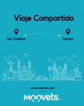 Traslado Compartido San Cristobal → Barinas | MOOVETS