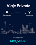 Traslado Privado Barquisimeto → Maracaibo | Sedán | Moovets