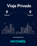Traslado Privado Valencia → Caracas | Sedán | Moovets