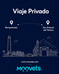 Traslado Privado Barquisimeto → San Antonio del Tachira | Camioneta | Moovets