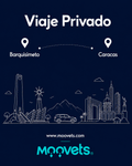 Traslado Privado Barquisimeto → Caracas | Camioneta | Moovets