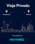 Traslado Privado Barquisimeto → Valencia | Camioneta | Moovets