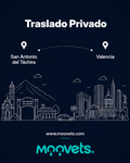 Traslado Privado San Antonio → Valencia | Camioneta | Moovets